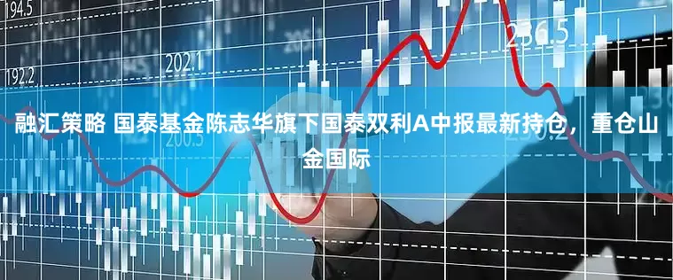 融汇策略 国泰基金陈志华旗下国泰双利A中报最新持仓，重仓山金国际