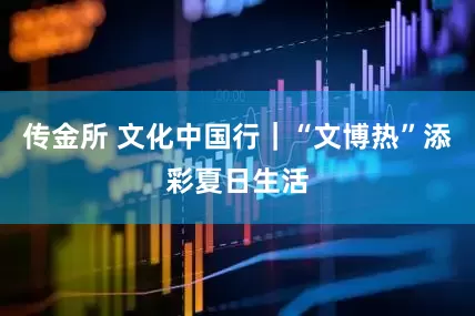 传金所 文化中国行｜“文博热”添彩夏日生活