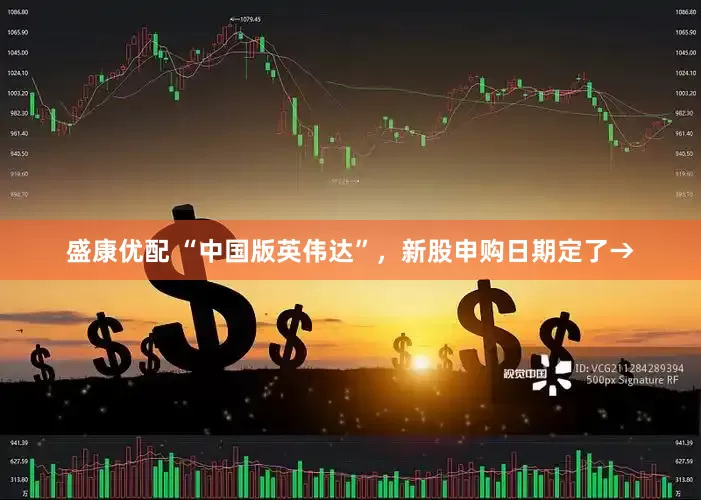 盛康优配 “中国版英伟达”,新股申购日期定了→