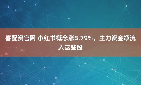 喜配资官网 小红书概念涨8.79%，主力资金净流入这些股